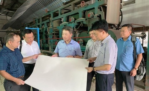 Viện Công nghiệp Giấy và Xenluylô đẩy mạnh ứng dụng kết quả nghiên cứu khoa học vào sản xuất