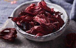 Nghiên cứu quá trình tạo bột bụp giấm từ đài hoa bụp giấm khô