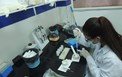 Ứng dụng công nghệ sinh học phục vụ phát triển bền vững 
