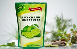 Nghiên cứu quy trình sản xuất bột chanh gia vị