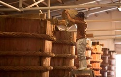 Khai thác và phát triển nguồn gen vi sinh vật tạo hương để sản xuất một số loại nước mắm đặc sản